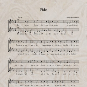 Fide S/A PDF Score