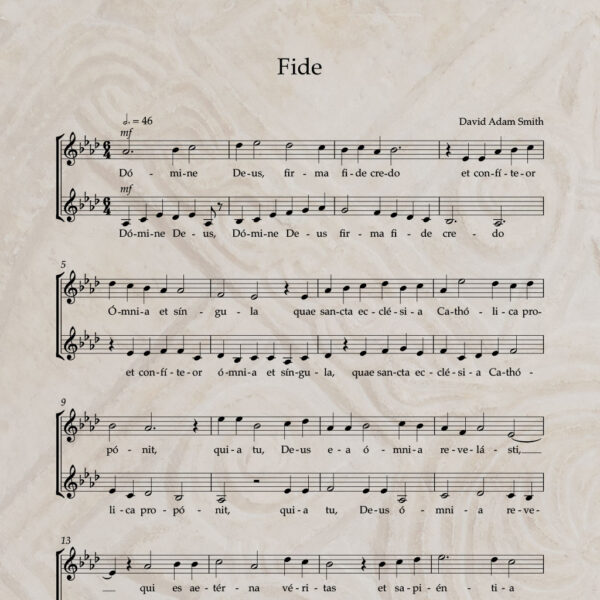 Fide S/A PDF Score
