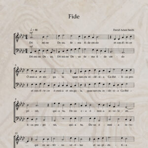 Fide T/B PDF Score